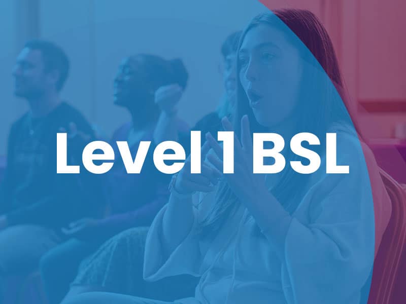 [BSL1-Nov25